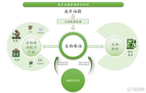 丰倍生物 技术创新驱动绿色全产业链，生物柴油市占率领先