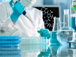 生物技术开发 创新驱动下的未来前景与机遇