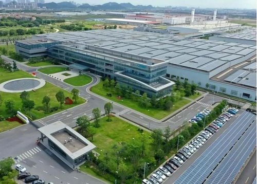 高净值家庭标准公布 中国211万户达标，生物技术开发成财富增长新引擎