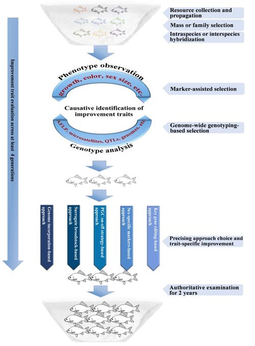 桂建芳院士团队再度发力 在Water Biology and Security发表长文评述，重新审视鱼类生物学与生物技术前景