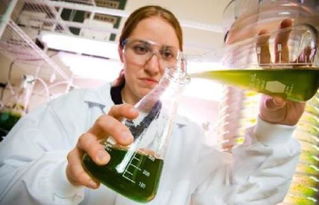 生物工程 一门融合生命科学与工程技术的交叉学科