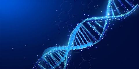 细胞与微生物的偶遇 DNA何时光被悄然读取